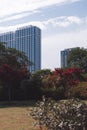 A group of tall buildings Royalty Free Stock Photo