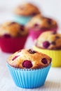 Group of tasty muffins placed on table Royalty Free Stock Photo