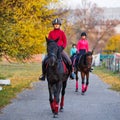 Group of teenage girls riding horse in autumn park Royalty Free Stock Photo