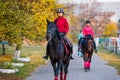 Group of teenage girls riding horse in autumn park Royalty Free Stock Photo