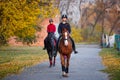 Group of teenage girls riding horse in autumn park Royalty Free Stock Photo