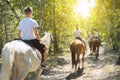 Group of teenagers on horseback riding in summer park Royalty Free Stock Photo