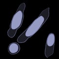 Group of Thermotogae bacterias on black background, vector illustration