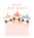 Group of three adorable kitten cats different breeds Meowy birthday watercolor illustration greeting card Royalty Free Stock Photo