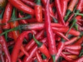 Group of three chili peppers isolated on white background as package design element