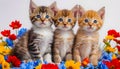 A group of three cute little kittens amongst a bed of spring flowers.