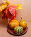 A group of three decorative pumpkins on a brown clay plate. Royalty Free Stock Photo