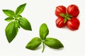 Group of three different types of tomatoes and basil leaves on white background. Generative AI Royalty Free Stock Photo