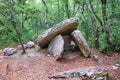 Group of three dolmens. Large stones