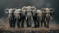 Group of Three Elephants Standing Together Royalty Free Stock Photo