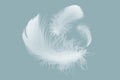 Group of Three Feathers Floating in The Air. Soft and Light Feather. Royalty Free Stock Photo