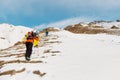 A group of three freeriders climb the mountain for backcountry skiing along the wild slopes of the