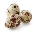 Group of three fresh quail perpaline eggs on white background