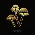 A group of three golden toxic magical hallucinogenic mushrooms. Golden drawing sticker of psilocybin mushrooms. Hand drawn