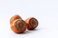 Group of three huzelnuts on white background close-up