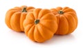 Group of three orange pumpkins Royalty Free Stock Photo