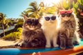 Group of three playful cats on the beach wearing sunglasses, AI-generated