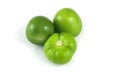 Three green Tomatillos. Royalty Free Stock Photo