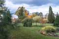 Birch, willow and mountain ash