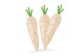 Group of three white carrots icon isolated on white background, vector illustration