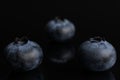 Fresj blue bilberry isolated on black glass