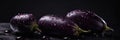 Group of three whole fresh purple eggplant with water drops isolated on black