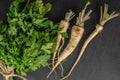 White parsley root on grey stone