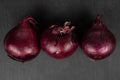 Small red onion bulb on grey stone Royalty Free Stock Photo