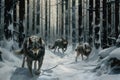 A group of three wolves walking together through a snowy forest, A pack of wolves hunting in the snowy forest, AI Generated