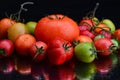 Group tomatoes with black background