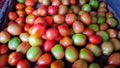 Group of tomatoes on the display Royalty Free Stock Photo