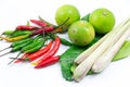 Group of Tomyum(Thai food) ingredients Royalty Free Stock Photo