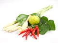 Group of Tomyum(Thai food) seasoning ingredients Royalty Free Stock Photo