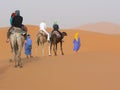 Group of tourist on camels Royalty Free Stock Photo