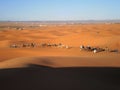 Group of Tourist in Saara Desert, Morocco Royalty Free Stock Photo