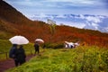 group of tourist walking in path way of showa-shinzan and usu ropeway one of most popular traveling destination hokkaido japan Royalty Free Stock Photo