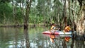 A group of tourists enjoying with the sets off for a guided kayak tour in the ancient mangrove forest