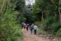 A group of tourists in the forest walk along narrow paths