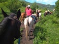 A group of tourists go horseback riding in a horse riding trip in the Altai mountains travel summer 2018 Royalty Free Stock Photo