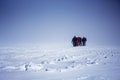 Group of tourists going up to Elbrus top