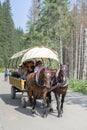 Group of tourists on the horse cart on the road to Morskie Oko lake literally `Sea Eye`, High Tatra Mountains near Zakopane, Royalty Free Stock Photo