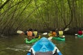 Group of tourists kayaking in the mangrove jungle of Krabi