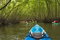 Group of tourists kayaking in the mangrove jungle of Krabi