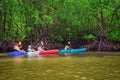 Group of tourists kayaking in the mangrove jungle