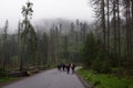 A group of tourists in the mountains among the mountains in the fog Royalty Free Stock Photo