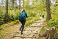 Group of tourists people hiking at mountains with sports backpack. Travel adventure concept. Group of female friends