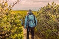 Group of tourists people hiking at mountains with sports backpack. Travel adventure concept. Group of female friends