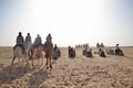 Group of tourists riding camels, Sahara Royalty Free Stock Photo