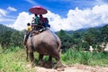 Group tourists to ride on an elephant