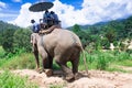 Group tourists to ride on an elephant